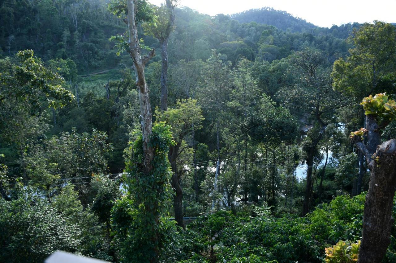 River View Guest House Madikeri Exterior foto